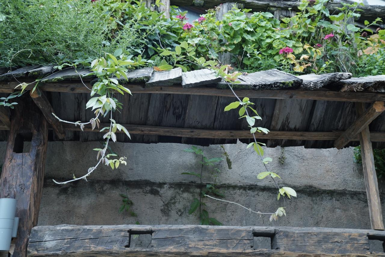 Ne-Tsang Inn Lijiang Lijiang  Exterior photo